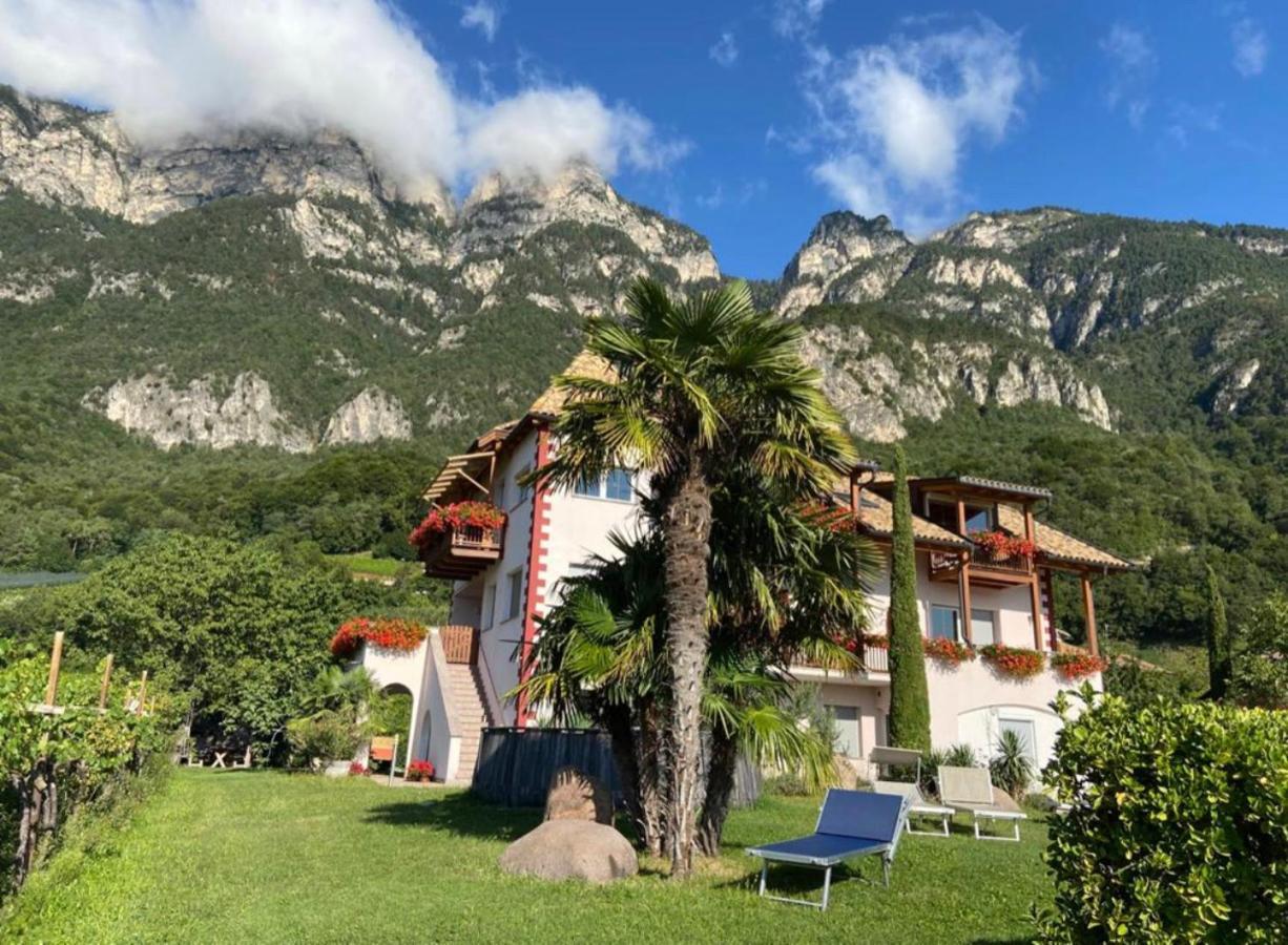 Santlhof - Sauvignon Apartment Cortaccia Exterior photo